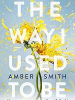 The Way I Used To Be by Amber Smith