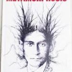 Metamorphosis By Franz Kafka